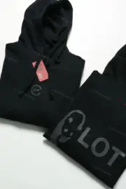 CLOT x FRAGMENT 23SS 20周年聯名閃電熊貓印花  重磅水洗 帽T連帽衛衣 藤原浩：圖片 12