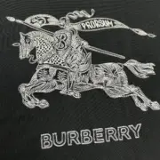 BR 23SS 馬術騎士 戰馬刺繡 logo 短袖T恤：圖片 7