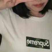 Sup 23FW 迷彩box logo boxlogo bogo  圓領短袖T恤：圖片 7