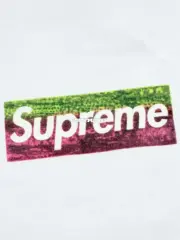 【現貨】Sup 25SS 洛杉磯山火救援 慈善限定款 box logo boxlogo bogo  圓領短袖T恤：圖片 7