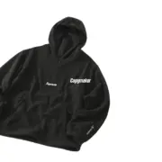 【預售】【福利回饋】 SUP x POLARTEC 聯名 面具面罩 搖粒絨連帽衛衣帽T帽衫 四色：圖片 11