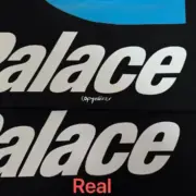 【現貨】PALACE x Carhartt WIP 24FW 聯名 後背印花 長袖T恤 卡哈特：圖片 5