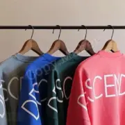 Descendant 21SS CETUS JERSEY LS DCDT 落肩 蝙蝠長袖 T恤 長T：圖片 5