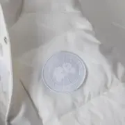 Canada Goose 23FW Paradigm系列 大口袋 羽絨馬甲背心 大鵝：圖片 9