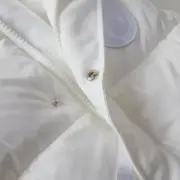 Canada Goose 23FW Paradigm系列 大口袋 羽絨馬甲背心 大鵝：圖片 12