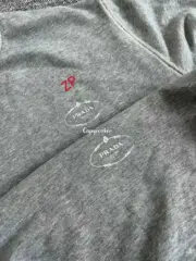 【預售】【福利回饋】PRA 24FW 仿舊水洗印花 後背三角標貼布 衛衣大學T長袖 灰色：圖片 7