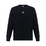 【預售】LOWE 25SS 華夫格棉質 經典刺繡 薄款衛衣大學T長袖 針織