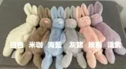 【預售】【過驗】Jellycat 害羞系列 經典邦尼兔陪伴玩偶安撫玩偶娃娃生日禮物 36cm 六色：圖片 2