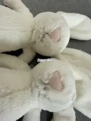 【預售】【過驗】Jellycat 害羞系列 經典邦尼兔陪伴玩偶安撫玩偶娃娃生日禮物 36cm 六色：圖片 4