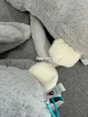 【預售】【過驗】Jellycat 害羞系列 經典邦尼兔陪伴玩偶安撫玩偶娃娃生日禮物 36cm 六色：圖片 9