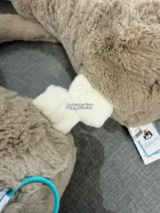 【預售】【過驗】Jellycat 害羞系列 經典邦尼兔陪伴玩偶安撫玩偶娃娃生日禮物 36cm 六色：圖片 13