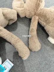 【預售】【過驗】Jellycat 害羞系列 經典邦尼兔陪伴玩偶安撫玩偶娃娃生日禮物 36cm 六色：圖片 14