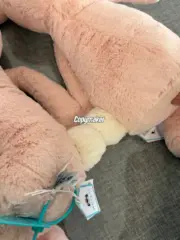 【預售】【過驗】Jellycat 害羞系列 經典邦尼兔陪伴玩偶安撫玩偶娃娃生日禮物 36cm 六色：圖片 17