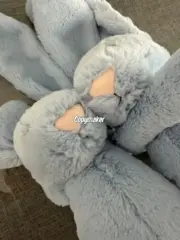 【預售】【過驗】Jellycat 害羞系列 經典邦尼兔陪伴玩偶安撫玩偶娃娃生日禮物 36cm 六色：圖片 20