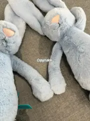 【預售】【過驗】Jellycat 害羞系列 經典邦尼兔陪伴玩偶安撫玩偶娃娃生日禮物 36cm 六色：圖片 22