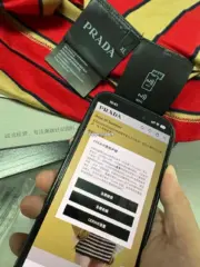 【現貨】【福利回饋】PRA 25SS 條紋 小logo Polo衫短袖T恤 絲光棉：圖片 7