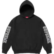 【預售】Sup FW24 Collegiate Sleeve Hooded Sweatshirt 麒麟臂發泡印花連帽衛衣帽踢長袖 四色：圖片 2