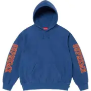 【預售】Sup FW24 Collegiate Sleeve Hooded Sweatshirt 麒麟臂發泡印花連帽衛衣帽踢長袖 四色：圖片 6