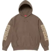 【預售】Sup FW24 Collegiate Sleeve Hooded Sweatshirt 麒麟臂發泡印花連帽衛衣帽踢長袖 四色：圖片 8