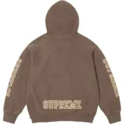 【預售】Sup FW24 Collegiate Sleeve Hooded Sweatshirt 麒麟臂發泡印花連帽衛衣帽踢長袖 四色：圖片 9