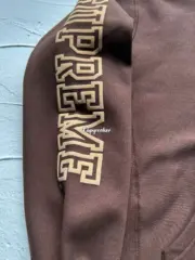 【預售】Sup FW24 Collegiate Sleeve Hooded Sweatshirt 麒麟臂發泡印花連帽衛衣帽踢長袖 四色：圖片 12