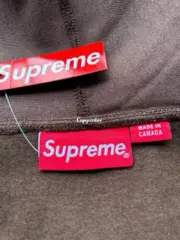 【預售】Sup FW24 Collegiate Sleeve Hooded Sweatshirt 麒麟臂發泡印花連帽衛衣帽踢長袖 四色：圖片 17