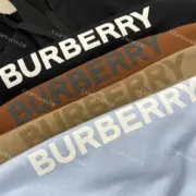 【雙11福利】BR 22SS 經典logo 發泡印花 帽T連帽衛衣帽衫 刷絨：圖片 20