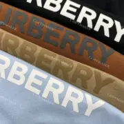 【雙11福利】BR 22SS 經典logo 發泡印花 帽T連帽衛衣帽衫 刷絨：圖片 21