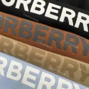 【雙11福利】BR 22SS 經典logo 發泡印花 帽T連帽衛衣帽衫 刷絨：圖片 22