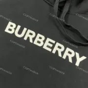 【雙11福利】BR 22SS 經典logo 發泡印花 帽T連帽衛衣帽衫 刷絨：圖片 23