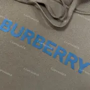 【雙11福利】BR 22SS 經典logo 發泡印花 帽T連帽衛衣帽衫 刷絨：圖片 29