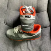 【預售】SB Dunk Low Staple NYC Pigeon 聯名 灰鴿鴿子刺繡logo 休閒鞋運動鞋板鞋 304292-011：圖片 8