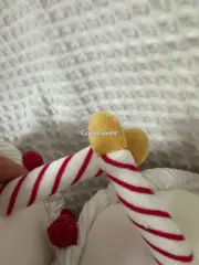 【現貨】【過驗】Jellycat 紅絲絨蛋糕 Amuseables Cheri Cake 情人節限定 玩偶娃娃生日禮物：圖片 13