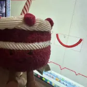 【現貨】【過驗】Jellycat 紅絲絨蛋糕 Amuseables Cheri Cake 情人節限定 玩偶娃娃生日禮物：圖片 15