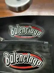 【現貨】【過驗】巴黎 BLC 25SS 秀款 薯片包手拿包小包單肩包掛繩包 頭層牛皮：圖片 7