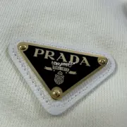 【現貨】【全套包裝】PRA 24FW 素色簡約 三角標小logo 鐵牌 帽T連帽衛衣長袖 米色：圖片 10