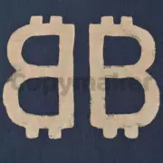 【現貨】巴黎 BLC 24SS 雙B 比特幣 水洗作舊破壞 短袖 T恤 藍灰色：圖片 13