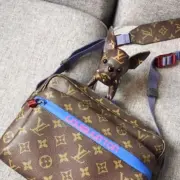 【現貨】【福利回饋】1V 20SS 經典老花 法鬥犬小狗 吊飾鑰匙圈掛飾裝飾 VIP贈品：圖片 5