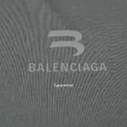 巴黎 BLC 24SS Sport系列 經典雙勾logo 吸濕排汗 素色簡約 短袖T恤：圖片 2