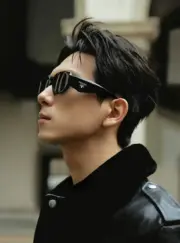 【預售】【2026新年福利】【過驗】PRA 17WSF 窄框多邊形切割框 醋酸纖維太陽眼鏡墨鏡：圖片 2