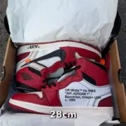 【斷碼鞋款出清】2/16晚上8點開賣 【可先加入購物車 售價*0.3為優惠價】：圖片 13