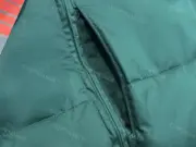 THE NOTH FACE 22AW Mountain 北臉 高端紫標系列 光電子保暖羽絨外套夾克：圖片 33