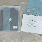 PRA 23FW 素色簡約 三角標小logo 鐵牌 高領長袖T恤 打底衫 內搭：圖片 22