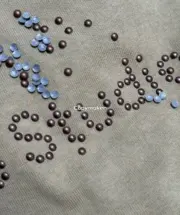 【現貨】Acne Studios 25SS 原廠鉚釘logo字母 圓領純棉短袖T恤 卡其色：圖片 12