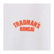 23SS BEAMS JAPAN TRADMAN'S BONSAI 別注盆栽印花 重磅 短袖T恤：圖片 7