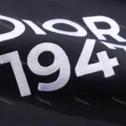 D1OR 24SS 刺繡字母數字logo 簡約 CD 短袖T恤 1947：圖片 10