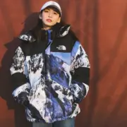 SUP x TNF 18SS 聯名 Mountain Parka 經典 雪山羽絨服 羽絨外套：圖片 4