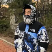 SUP x TNF 18SS 聯名 Mountain Parka 經典 雪山羽絨服 羽絨外套：圖片 5
