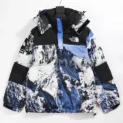 SUP x TNF 18SS 聯名 Mountain Parka 經典 雪山羽絨服 羽絨外套：圖片 7