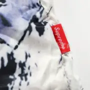 SUP x TNF 18SS 聯名 Mountain Parka 經典 雪山羽絨服 羽絨外套：圖片 13